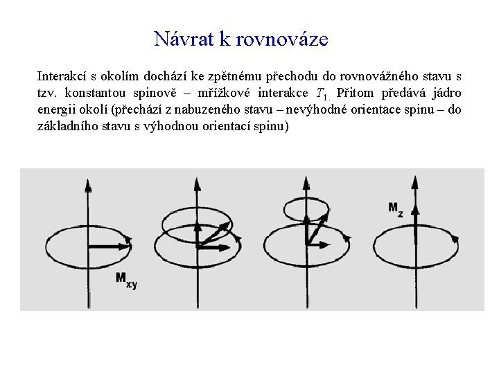 Návrat k rovnováze Interakcí s okolím dochází ke zpětnému přechodu do rovnovážného stavu s