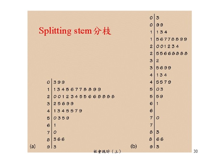 Splitting stem分枝 社會統計（上） 30 