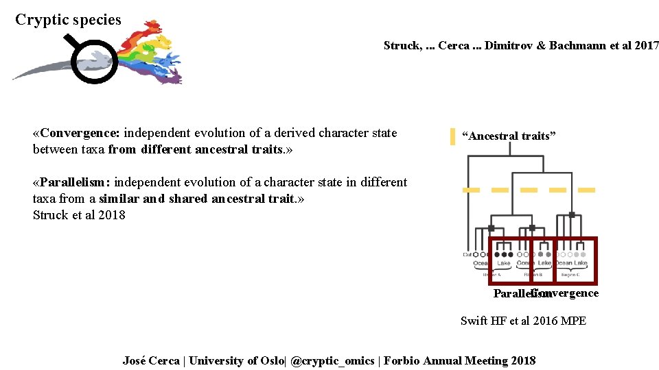 Cryptic species Struck, . . . Cerca. . . Dimitrov & Bachmann et al