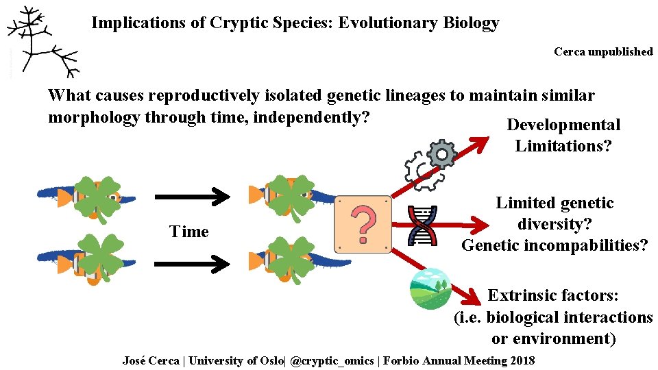 Implications of Cryptic Species: Evolutionary Biology Cerca unpublished What causes reproductively isolated genetic lineages