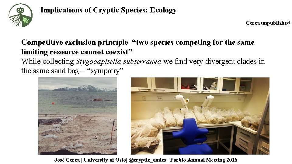 Implications of Cryptic Species: Ecology Cerca unpublished Competitive exclusion principle “two species competing for
