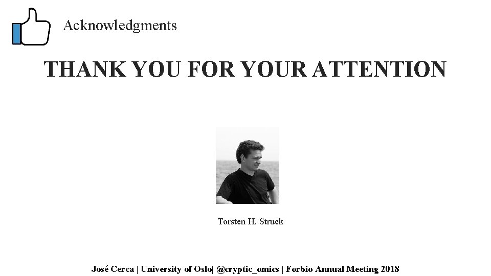 Acknowledgments THANK YOU FOR YOUR ATTENTION Torsten H. Struck José Cerca | University of