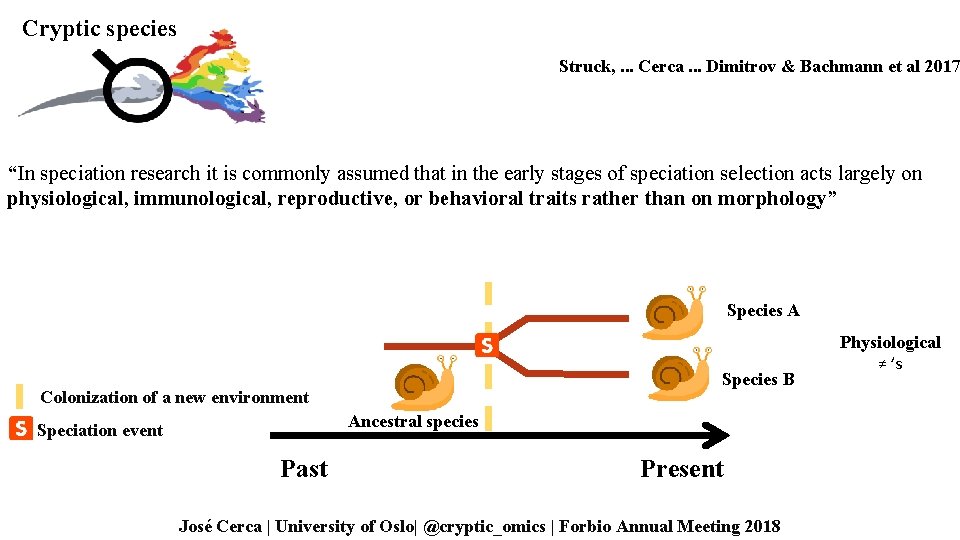 Cryptic species Struck, . . . Cerca. . . Dimitrov & Bachmann et al