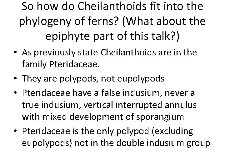 So how do Cheilanthoids fit into the phylogeny of ferns? (What about the epiphyte