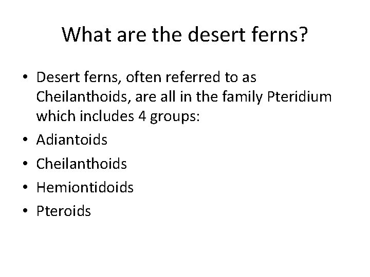 What are the desert ferns? • Desert ferns, often referred to as Cheilanthoids, are
