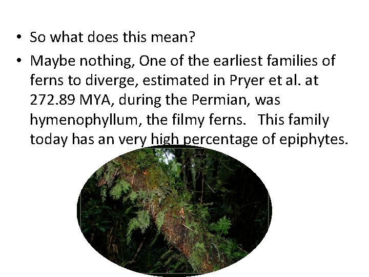 • So what does this mean? • Maybe nothing, One of the earliest