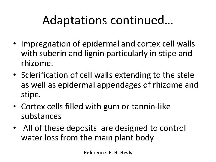 Adaptations continued… • Impregnation of epidermal and cortex cell walls with suberin and lignin