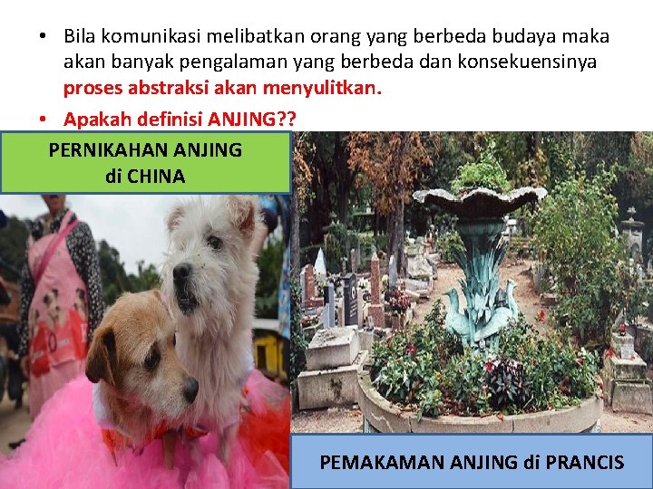 • Bila komunikasi melibatkan orang yang berbeda budaya maka akan banyak pengalaman yang • Bila komunikasi melibatkan orang yang berbeda budaya maka akan banyak pengalaman yang