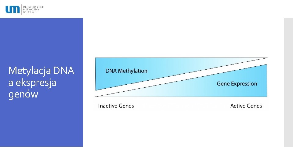 Metylacja DNA a ekspresja genów 