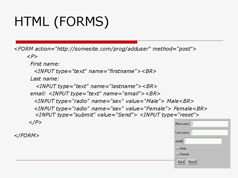 HTML (FORMS) <FORM action="http: //somesite. com/prog/adduser" method="post"> <P> First name: <INPUT type="text" name="firstname"><BR> Last