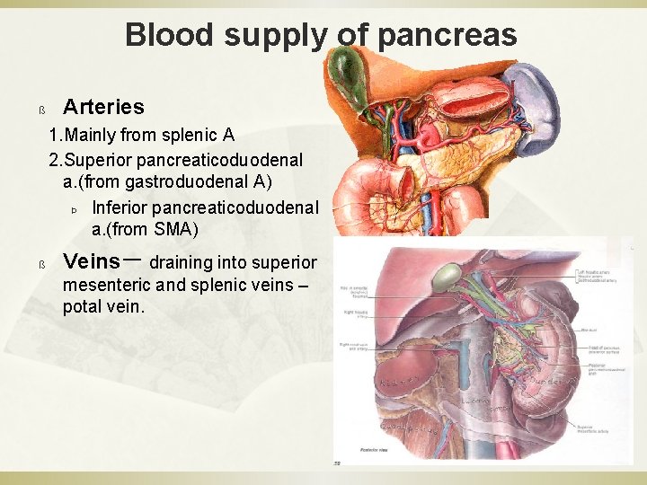 Blood supply of pancreas ß Arteries 1. Mainly from splenic A 2. Superior pancreaticoduodenal