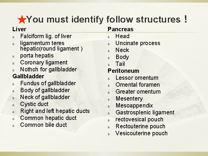★You must identify follow structures！ Liver ß Falciform lig. of liver ß ligamentum teres