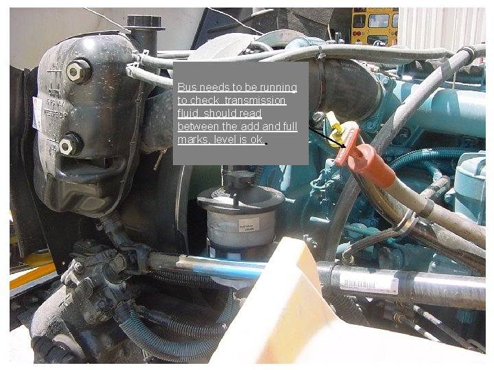 Bus needs to be running to check , transmission fluid, should read between the