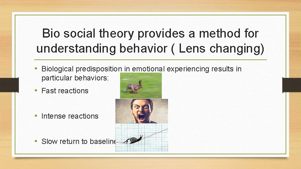 Bio social theory provides a method for understanding behavior ( Lens changing) • Biological