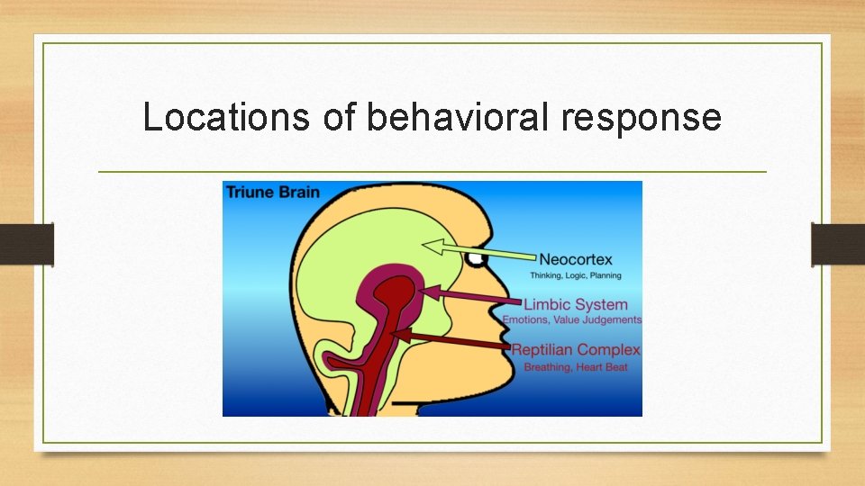 Locations of behavioral response 