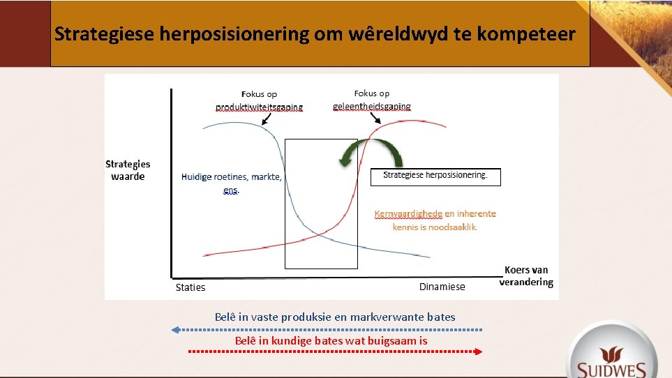 Strategiese herposisionering om wêreldwyd te kompeteer Belê in vaste produksie en markverwante bates Belê