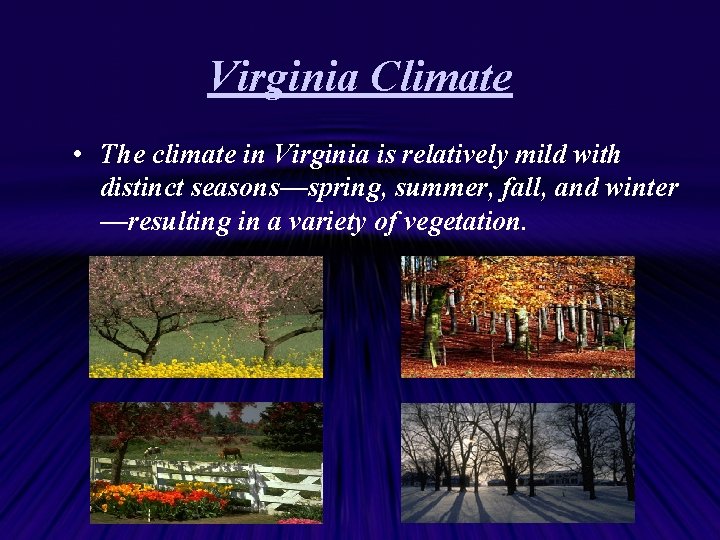 Virginia Climate • The climate in Virginia is relatively mild with distinct seasons—spring, summer,