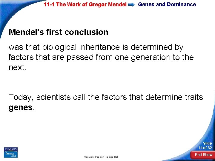 11 -1 The Work of Gregor Mendel Genes and Dominance Mendel's first conclusion was