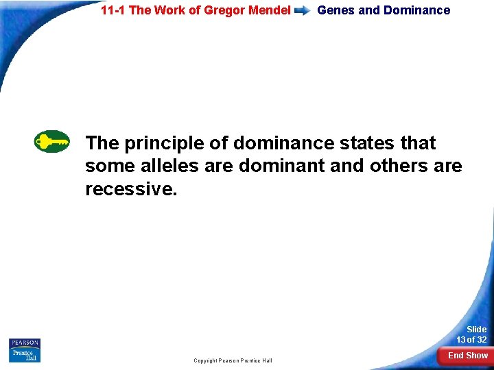 11 -1 The Work of Gregor Mendel Genes and Dominance The principle of dominance