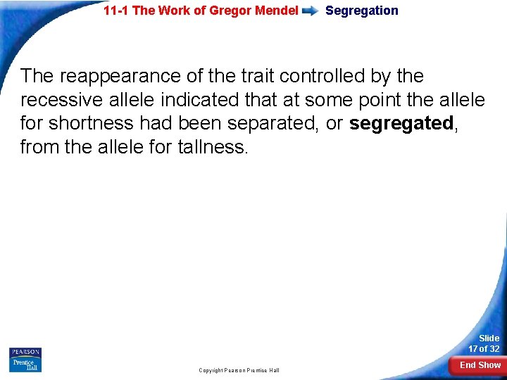 11 -1 The Work of Gregor Mendel Segregation The reappearance of the trait controlled