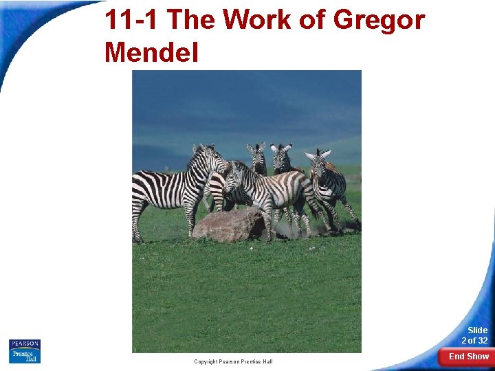 11 -1 The Work of Gregor Mendel Slide 2 of 32 Copyright Pearson Prentice