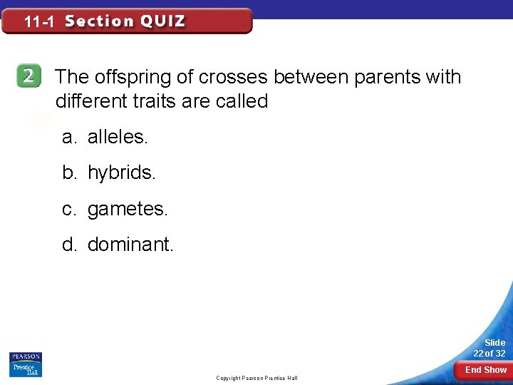 11 -1 The offspring of crosses between parents with different traits are called a.