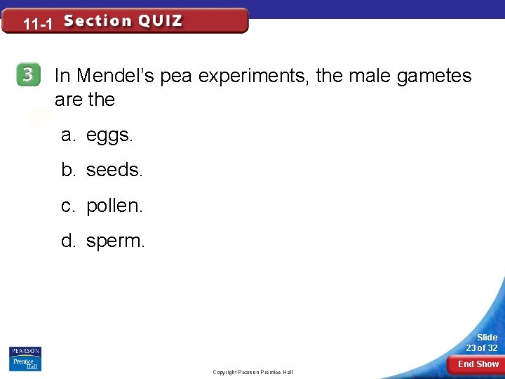 11 -1 In Mendel’s pea experiments, the male gametes are the a. eggs. b.