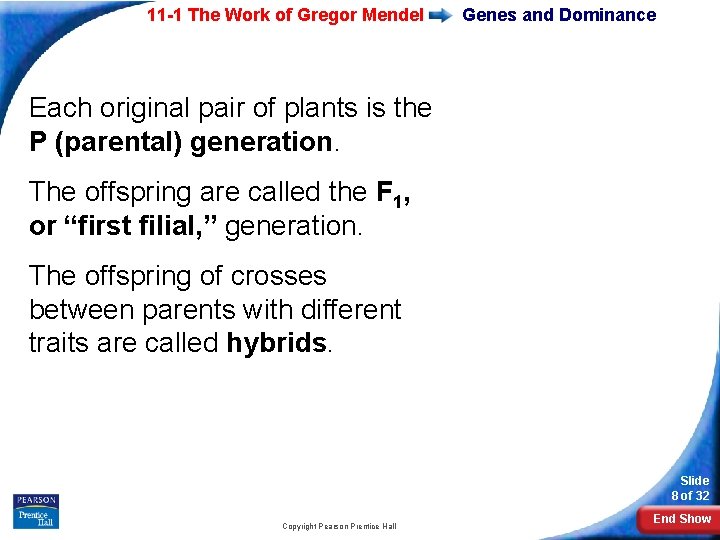 11 -1 The Work of Gregor Mendel Genes and Dominance Each original pair of