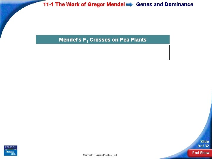 11 -1 The Work of Gregor Mendel Genes and Dominance Mendel’s F 1 Crosses