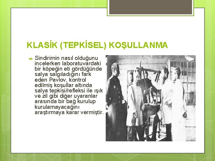 KLASİK (TEPKİSEL) KOŞULLANMA Sindirimin nasıl olduğunu incelerken laboratuvardaki bir köpeğin eti gördüğünde salya salgıladığını