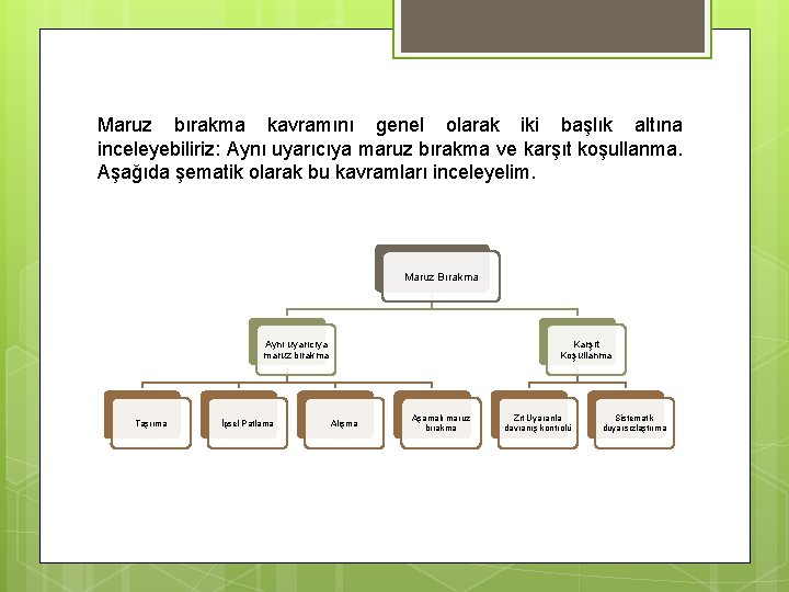 Maruz bırakma kavramını genel olarak iki başlık altına inceleyebiliriz: Aynı uyarıcıya maruz bırakma ve