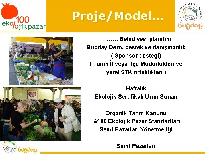 Proje/Model… ……… Belediyesi yönetim Buğday Dern. destek ve danışmanlık ( Sponsor desteği) ( Tarım