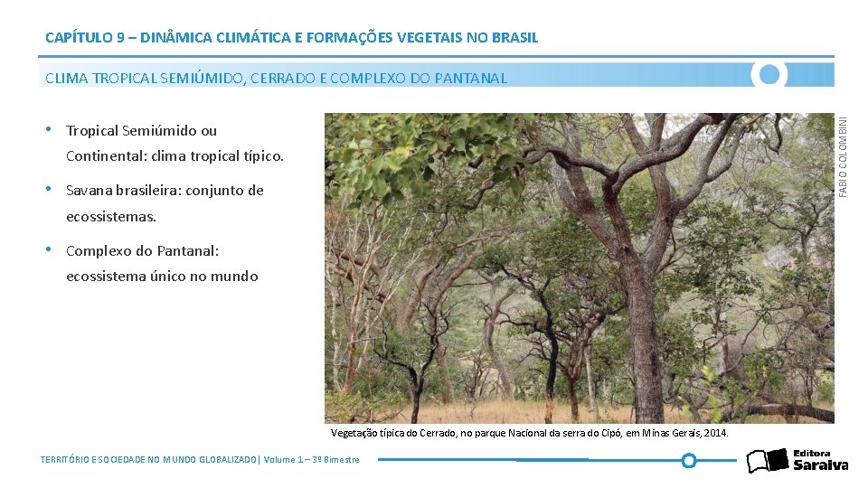 CAPÍTULO 9 – DIN MICA CLIMÁTICA E FORMAÇÕES VEGETAIS NO BRASIL FABIO COLOMBINI CLIMA