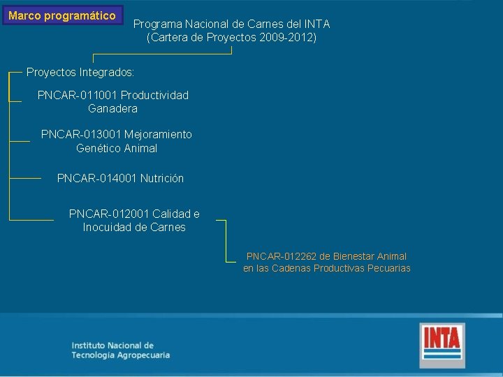 Marco programático Programa Nacional de Carnes del INTA (Cartera de Proyectos 2009 2012) Proyectos