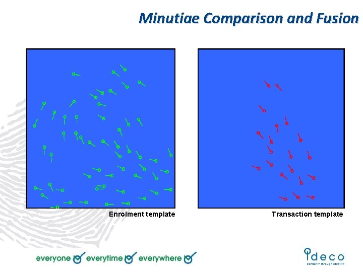 Minutiae Comparison and Fusion Enrolment template Transaction template 
