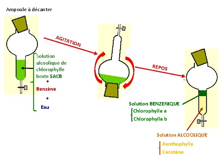 Ampoule à décanter AGIT ATIO N Solution alcoolique de chlorophylle brute SACB + Benzène