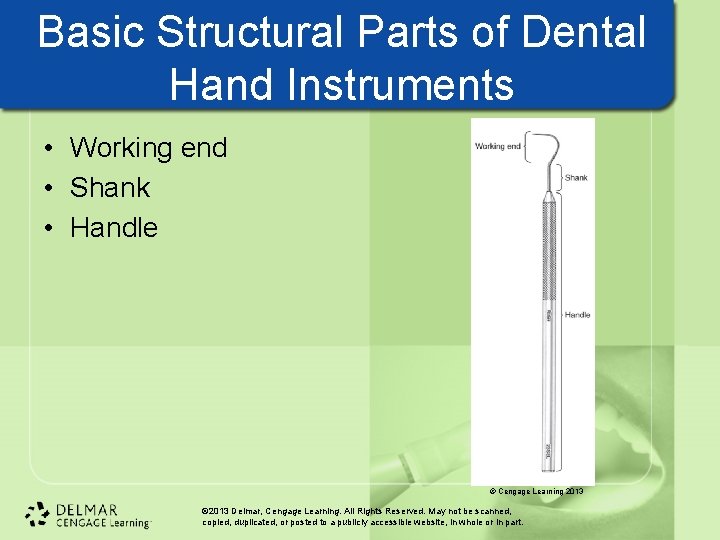 Basic Structural Parts of Dental Hand Instruments • Working end • Shank • Handle