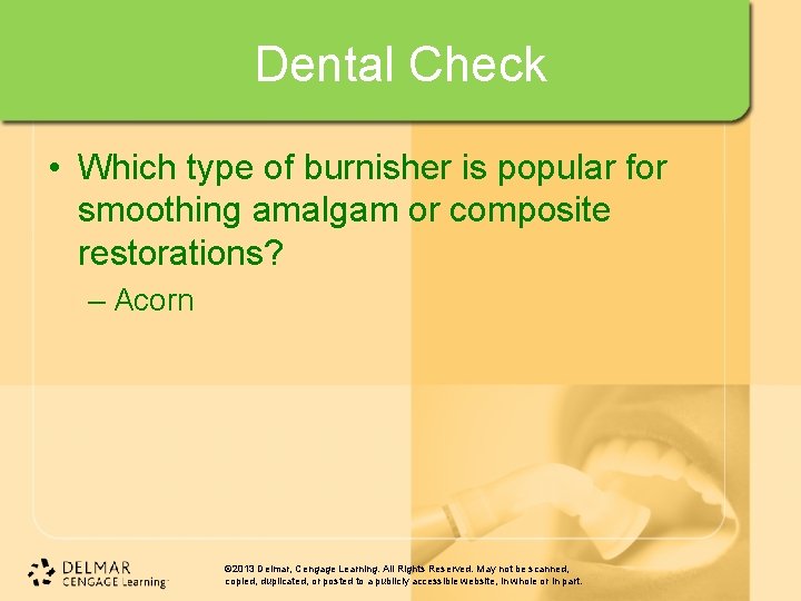 Dental Check • Which type of burnisher is popular for smoothing amalgam or composite