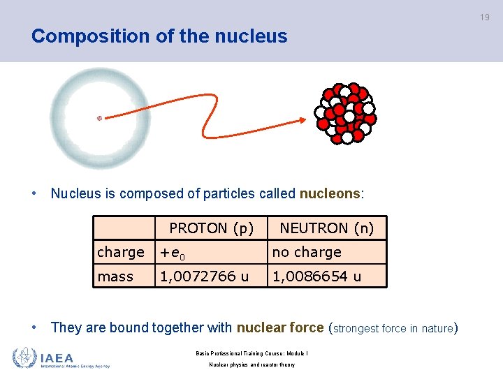 19 Composition of the nucleus • Nucleus is composed of particles called nucleons: PROTON
