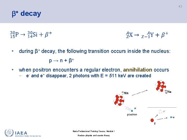 43 + decay • during β+ decay, the following transition occurs inside the nucleus: