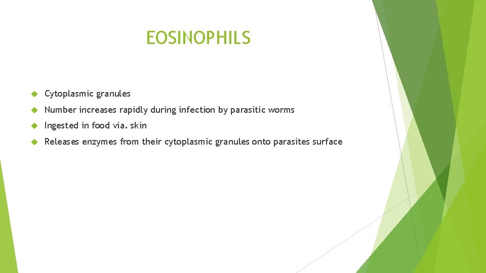 EOSINOPHILS Cytoplasmic granules Number increases rapidly during infection by parasitic worms Ingested in food