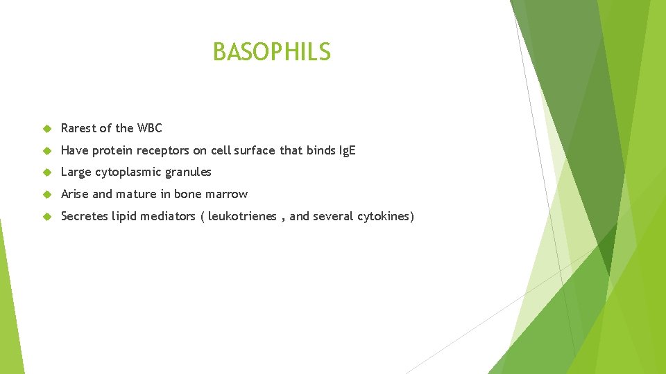 BASOPHILS Rarest of the WBC Have protein receptors on cell surface that binds Ig.