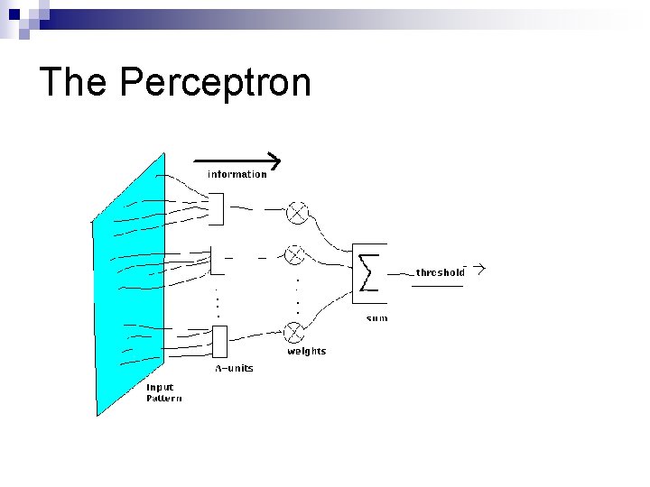 The Perceptron 