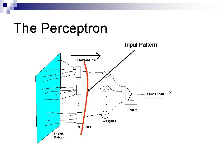 The Perceptron Input Pattern 