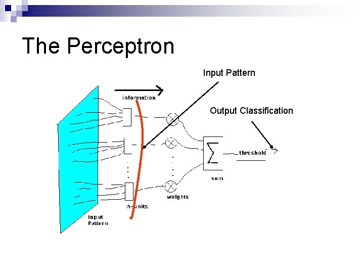 The Perceptron Input Pattern Output Classification 