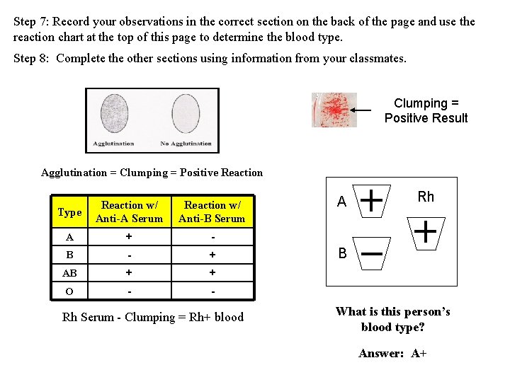 Step 7: Record your observations in the correct section on the back of the