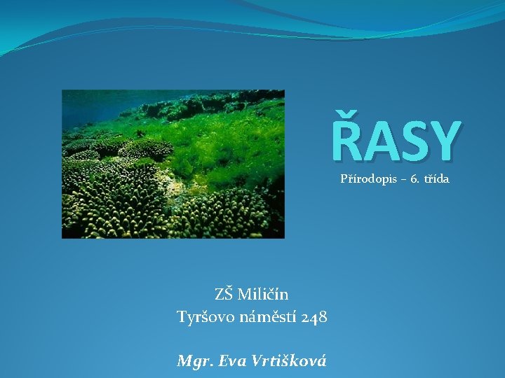 ŘASY Přírodopis – 6. třída ZŠ Miličín Tyršovo náměstí 248 Mgr. Eva Vrtišková 