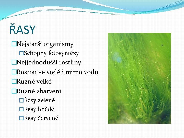 ŘASY �Nejstarší organismy �Schopny fotosyntézy �Nejjednodušší rostliny �Rostou ve vodě i mimo vodu �Různě