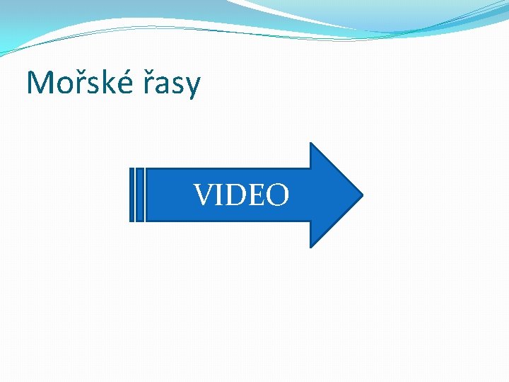 Mořské řasy VIDEO 