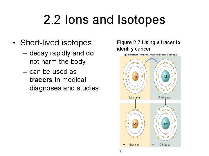 2. 2 Ions and Isotopes • Short-lived isotopes – decay rapidly and do not